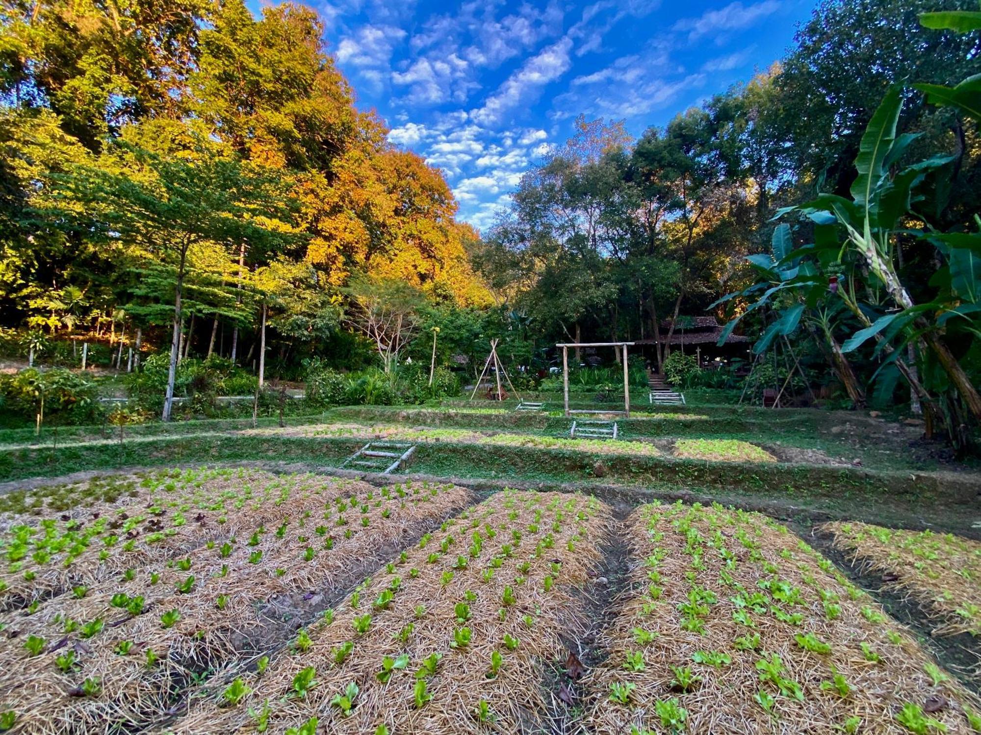Fern Resort Mehongszon Kültér fotó