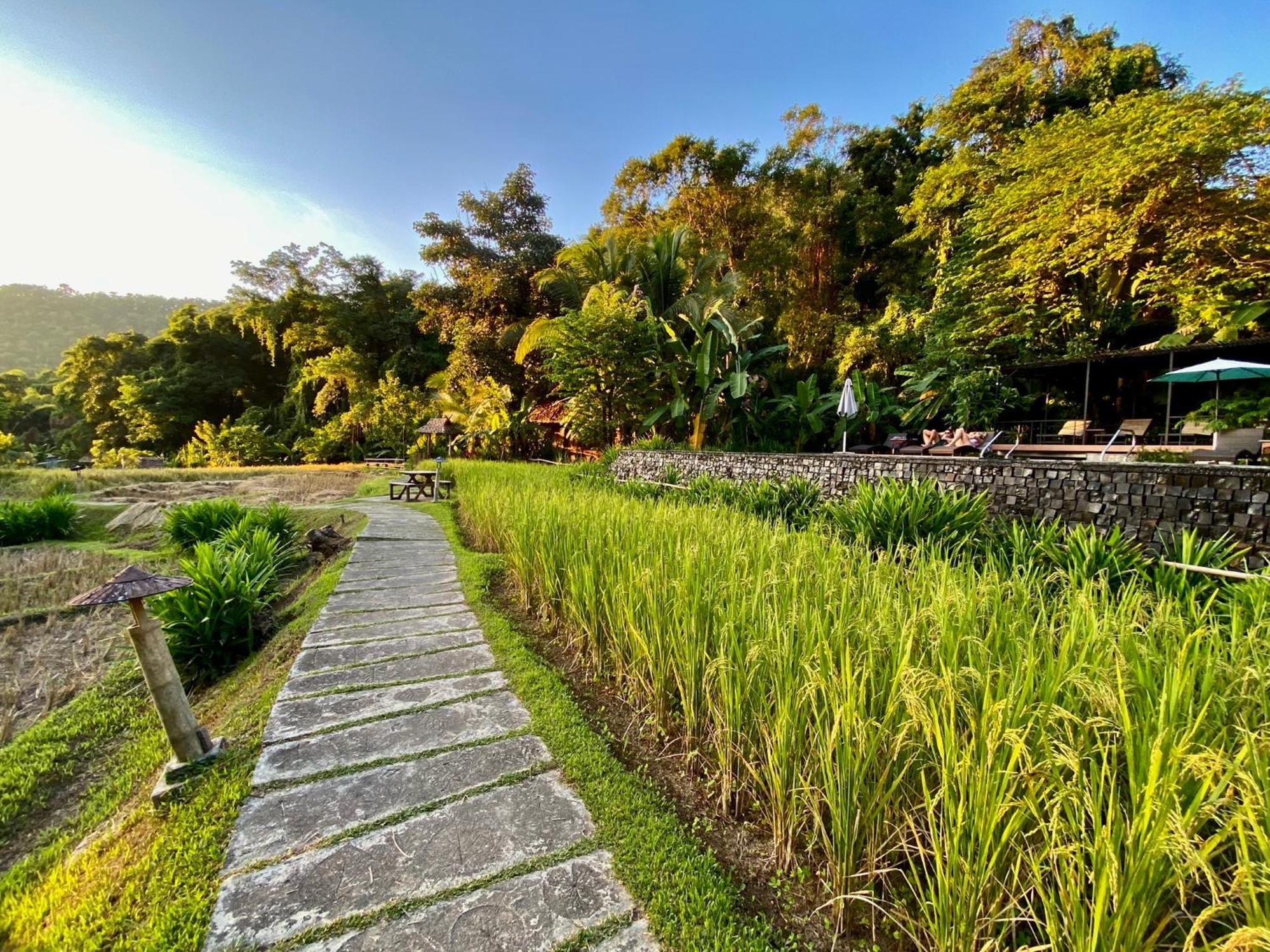 Fern Resort Mehongszon Kültér fotó