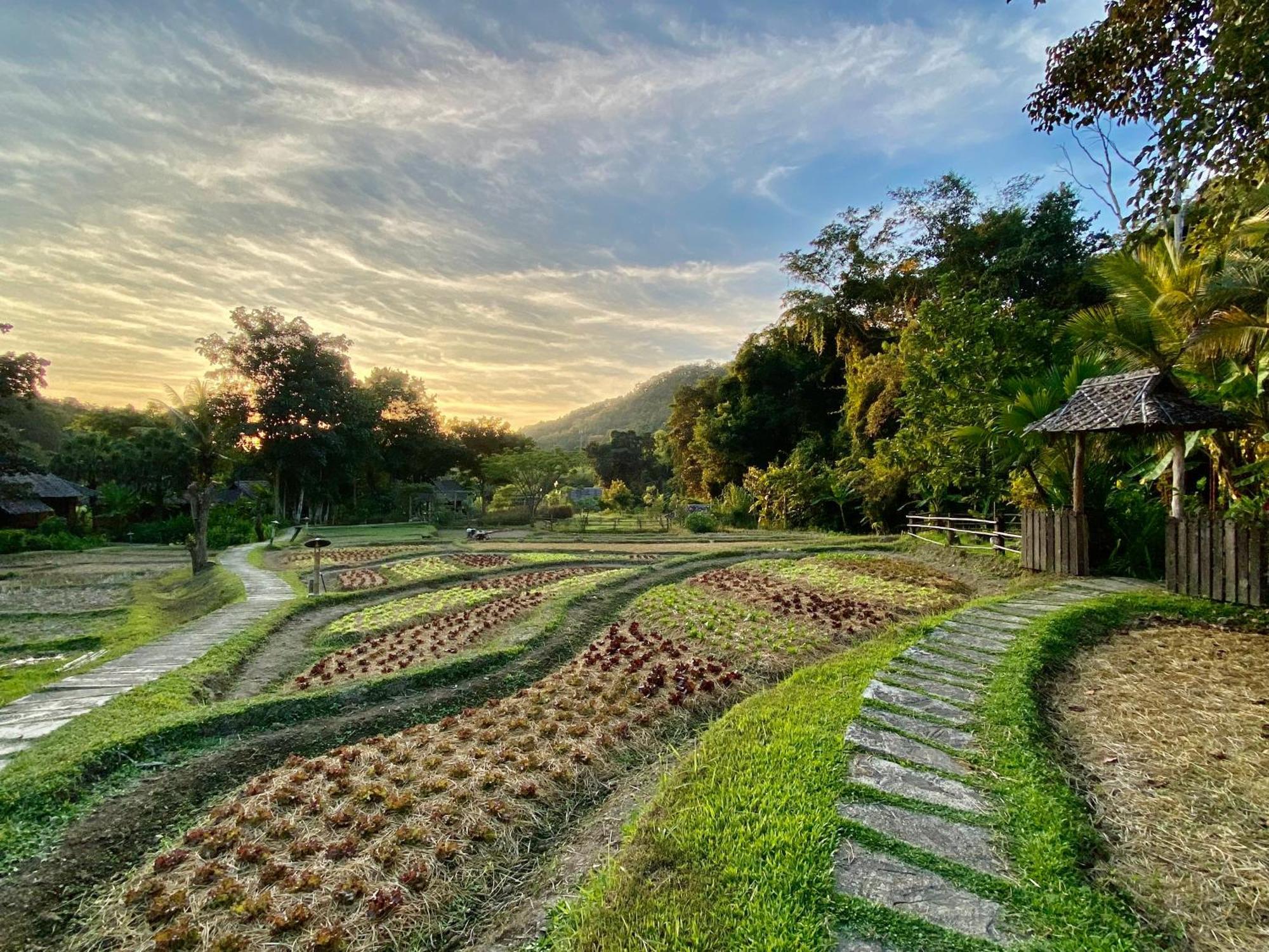 Fern Resort Mehongszon Kültér fotó