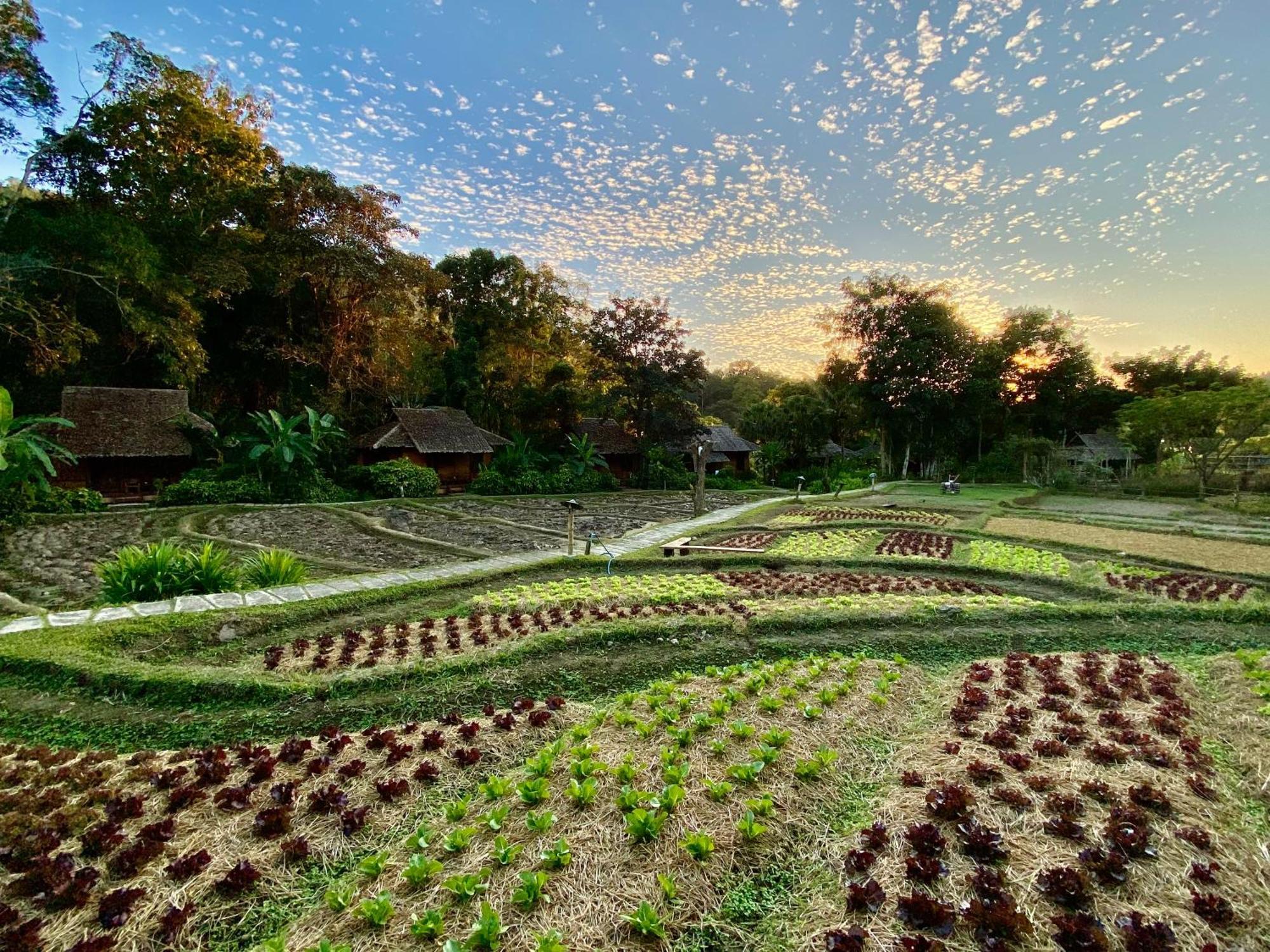 Fern Resort Mehongszon Kültér fotó